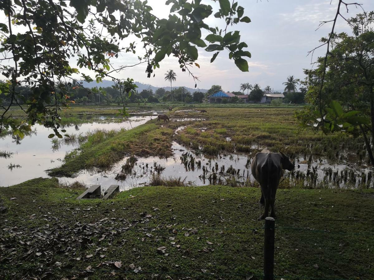 Homestay Barakah Cenang Langkawi Pantai Cenang  Eksteriør billede
